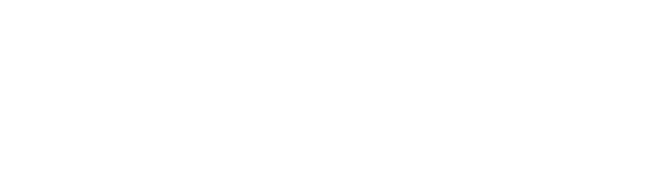 Home - Pioneers